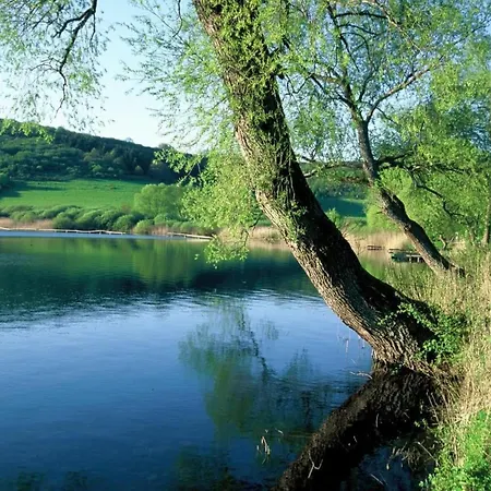Vulkaneifel By Interhome * Daun