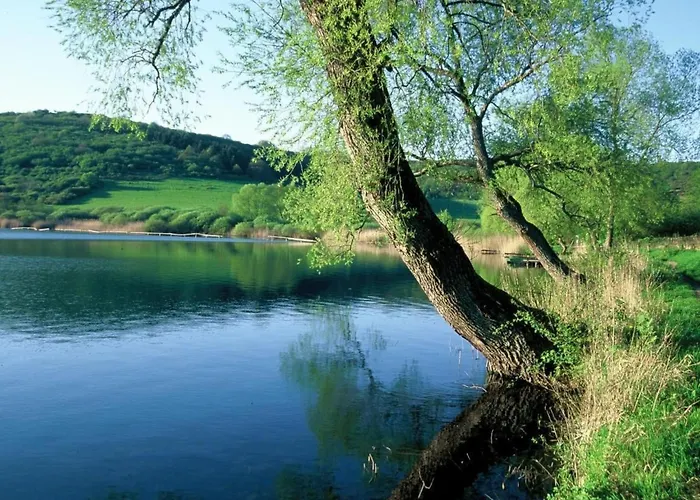 Vulkaneifel By Interhome * 道恩